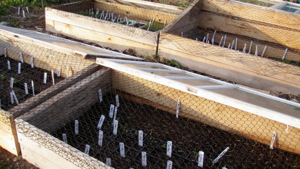 Couche froide et filets