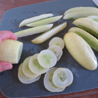 Concombre Boothby’s Blond