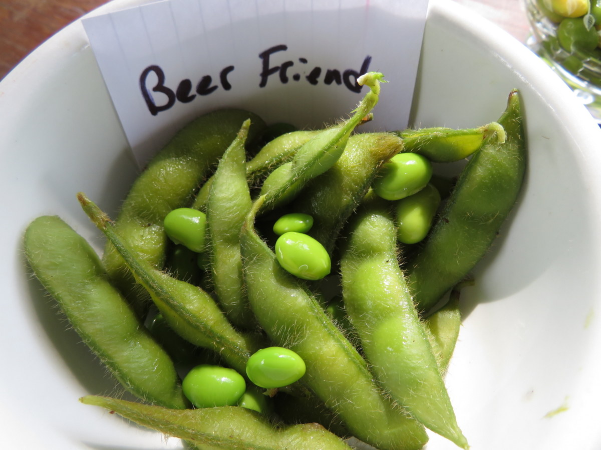Beer Friend soybean