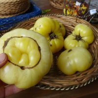 Tomate Fantôme du Laos
