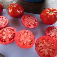 Tomate Red Pear Arbruzzese