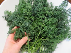 Dill