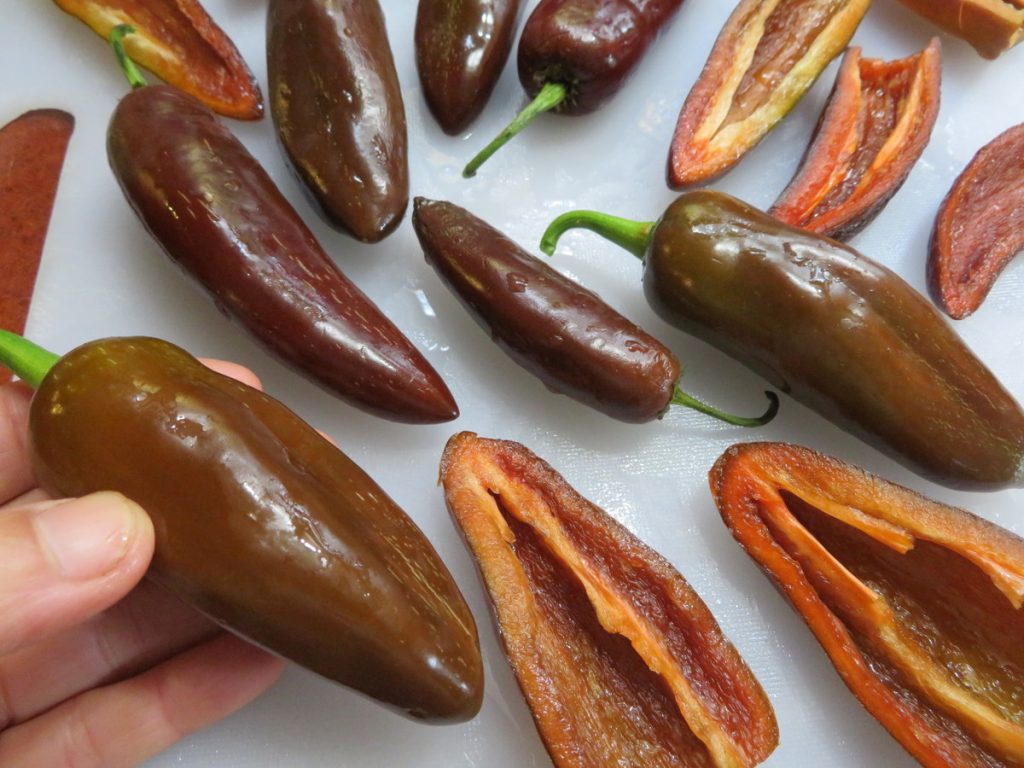 Graines De Piment Armageddon - Variété Ultra Piquante - Pour Jardin, Balcon, Culture Intérieure