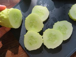 Three white sheet cucumber