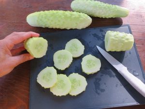 Three white sheet cucumber