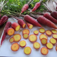 Carrot Cosmic Surprise