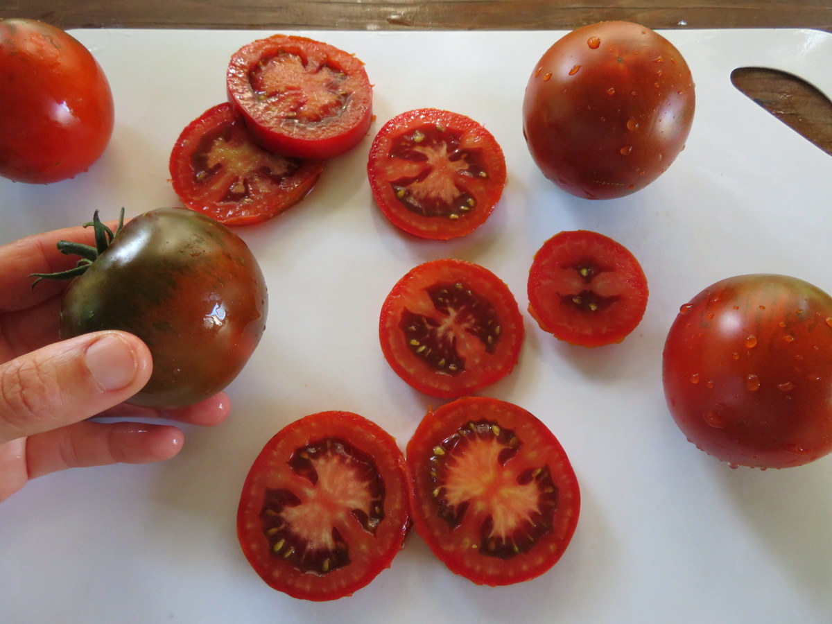 Tomate Q-mato